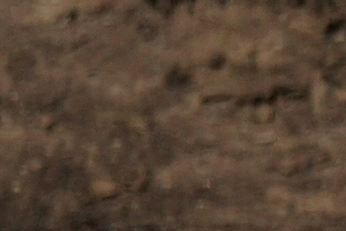 Search and rescue crew inspect a mobile home park destroyed by the Palisades Fire in Palisades, Calif. is seen, Wednesday, Jan. 15, 2025. (AP Photo/Jae C. Hong)