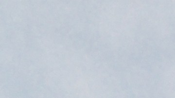 El hecho ocurrió mientras estaba instalada en el Capitolio la capilla ardiente del expresidente estadounidense Jimmy Carter