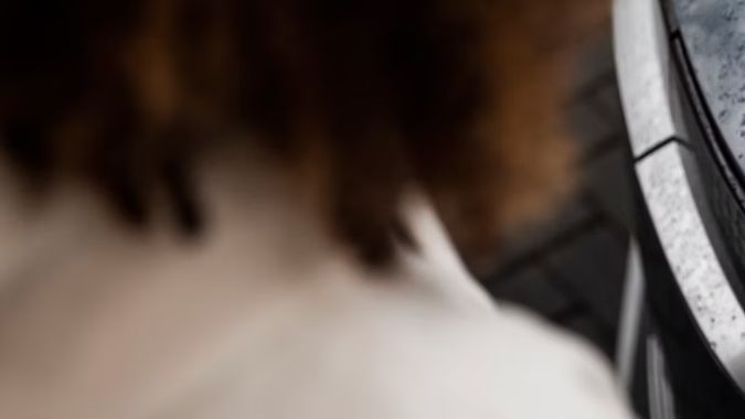 Cargadores de Hyundai