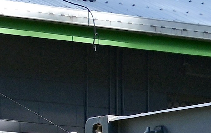 Amazon vende casa prefabrica en $15,812.