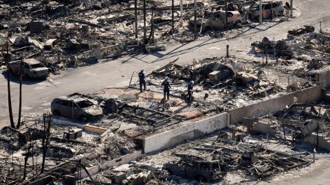 An aerial view shows the devastation from the Palisades Fire Wednesday, Jan. 15, 2025 in Malibu, Calif. (AP Photo/Jae C. Hong)