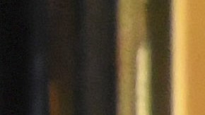 Chayanne despidió el año en Puerto Rico con su familia