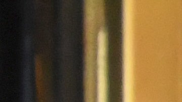 Chayanne despidió el año en Puerto Rico con su familia