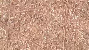 Cierre de tiendas Kohl's