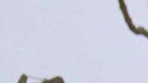 Claudia Martín romance