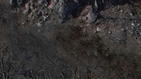 A worker surveys the damage from the Palisades Fire in the Pacific Palisades neighborhood of Los Angeles, Monday, Jan. 13, 2025. (AP Photo/John Locher)