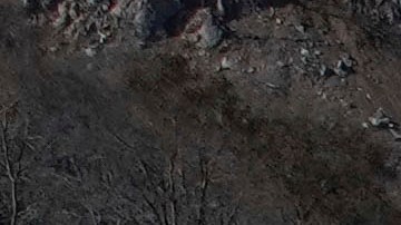 A worker surveys the damage from the Palisades Fire in the Pacific Palisades neighborhood of Los Angeles, Monday, Jan. 13, 2025. (AP Photo/John Locher)