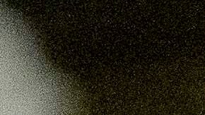 Schumer acusa que Trump realizó una “masacre” contra inspectores independientes y evitar rendir cuentas