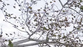 Departamento de Estado de Estados Unidos