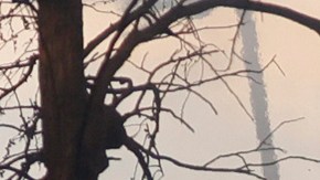 Firefighters battle the Palisades Fire as it burns a structure in the Pacific Palisades neighborhood of Los Angeles, Wednesday, Jan. 8, 2025. (AP Photo/Etienne Laurent)