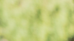 La concejal Ysabel Jurado corta la rosca durante el evento del Día de los Reyes en Boyle Heights.