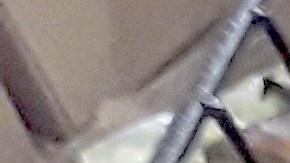 Dollar Tree tiene en tendencia 12 de sus productos más vendidos.