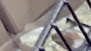 Dollar Tree tiene en tendencia 12 de sus productos más vendidos.