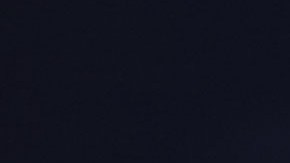 Donald Trump, presidente electo