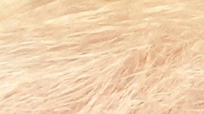 Trump ordena que empleados federales de diversidad, equidad e inclusión sean puestos en licencia