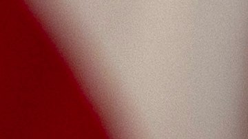 Fin de políticas DEI llevará a despidos y eliminará iniciativas contra discriminación