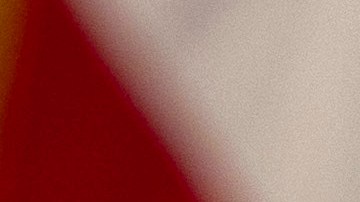 President Donald Trump holds up a signed executive order relating to clemency for anti-abortion protesters as he signs executive orders in the Oval Office of the White House, Thursday, Jan. 23, 2025, in Washington. (AP Photo/Ben Curtis)