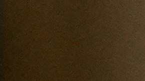 Pide a EE.UU. debe ser líder en asuntos ambientales, pese a postura en contra de Trump