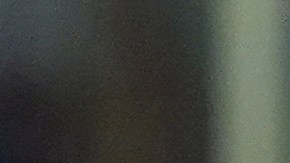 Trump firma una orden ejecutiva y ordena retiro de Estados Unidos de la OMS