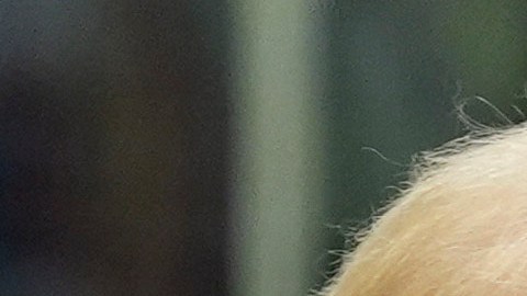Trump firma una orden ejecutiva y ordena retiro de Estados Unidos de la OMS