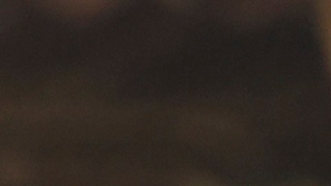 Trump prometió que EE.UU. volverá a ser una nación manufacturera