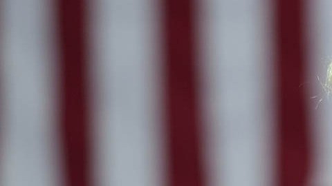 Donald Trump, presidente electo