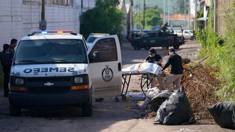 Violencia en México