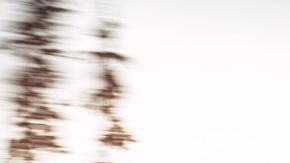 El Lexus RC 2025 será la última edición