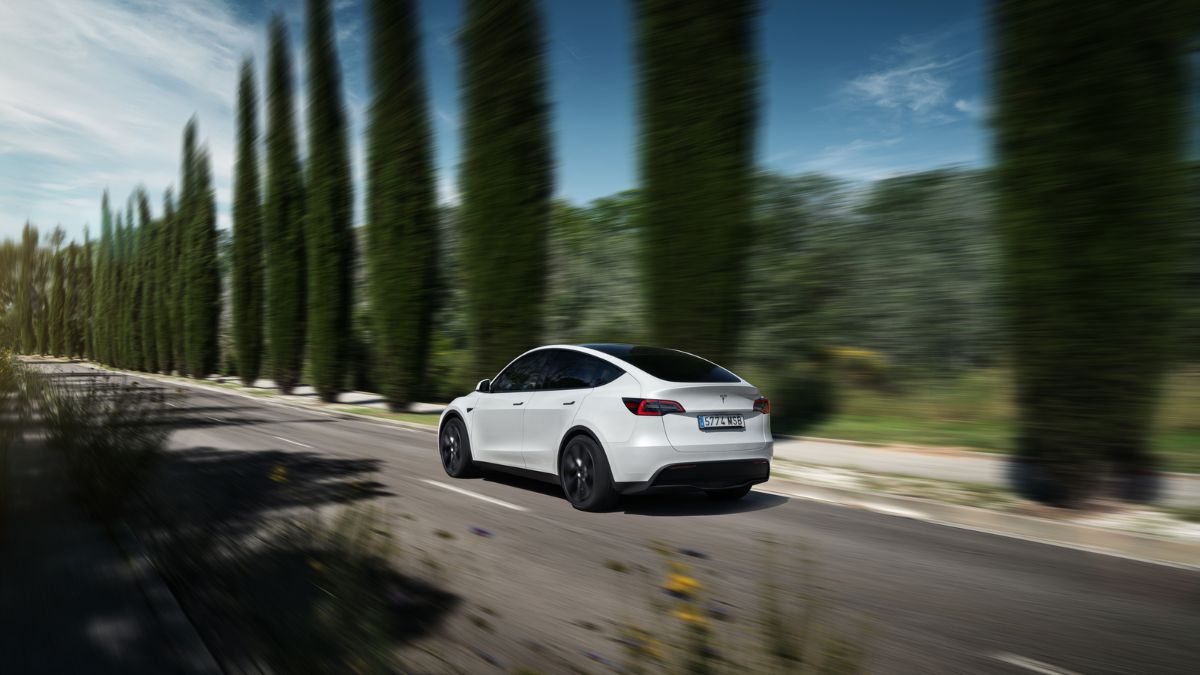 Tesla y su caída de $15 mil millones: causas y futuro
