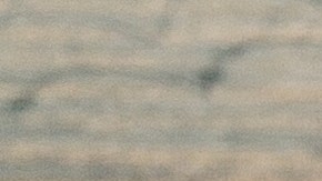 Empleo EE.UU. de diciembre