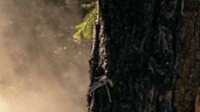 Este es el Honda Pilot, modelo 2025