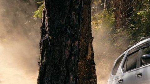 Este es el Honda Pilot, modelo 2025