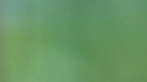 An immigrant family listens to Nora Sandigo and she discusses the process of becoming the legal guardian for their children, Sunday, Jan. 19, 2025, in Miami. Several immigrants families asked Sandigo to be the legal guardian of their children in case they are detained or deported. (AP Photo/Marta Lavandier)