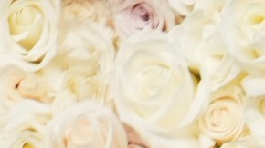 Golden Globes 2025: Todos los ganadores en una sola lista