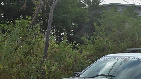 Guardia Nacinal de México