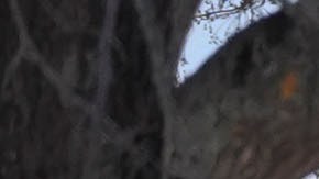 los autopuertos de permanecían cerrados en Houston debido a la tormenta