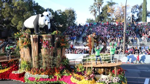 Por segundo año consecutivo, la Alianza para la Vida Silvestre del Zoológico de San Diego obtuvo los máximos honores.