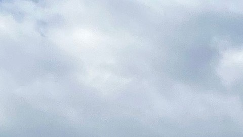 El Congreso necesita reformar urgentemente las leyes de inmigración.