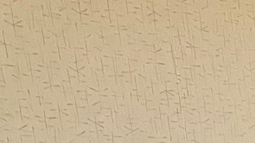 Óscar Rodríguez, su compañera, su bebé y su perro Rambo se encuentran a salvo en un hotel.