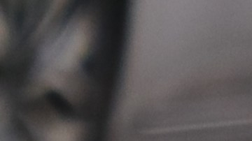 Los alumnos son de la escuela intermedia Young Oak Kim Academy de LA.