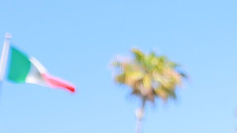 André Jardine se queda en América.