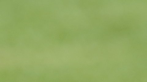 León, Guanajuato a 14 de septiembre de 2024. Victor Velazquez y Jonathan Reyes, durante el partido correspondiente a la jornada 7 del torneo Apertura 2024 de la Liga BBVA MX categoría Sub 23 varonil, entre los esmeraldas de León y la máquina celeste del Cruz Azul, realizado en la esmeralda. Foto/ Imago7/ Sebastián Laureano Miranda
