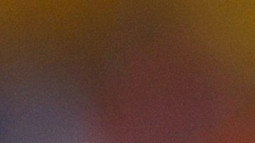 Veljko Paunovic, DT de Tigres.