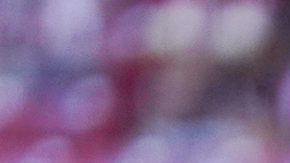 Zapopan, Jalisco, 9 de noviembre de 2024. Jesús Orozco, durante el partido de la jornada 17 del torneo Apertura 2024 de la Liga BBVA MX, entre las Chivas Rayadas del Guadalajara y el Atlético San Luis, celebrado en el estadio Akron. Foto: Imago7/Andrés Sepúlveda