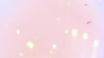 El tricampeón América quiere recibir al Real Madrid.