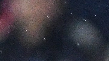 San Luis Potosí, San Luis Potosí, 11 de enero de 2025. Nahuel Guzmán, durante el partido correspondiente a la jornada 1 del torneo Clausura 2025 de la Liga BBVA MX, entre el Atlético San Luis y los Tigres de la UANL, realizado en el estadio Alfonso Lastras. Foto: Imago7/ Olimpia Puga