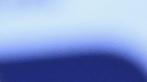 El Tri jugará un dos partidos amistosos en el mes de enero. Internacional y River son sus rivales.