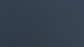 Anselmi dejó a Cruz Azul en pleno inicio del Clausura 2025.