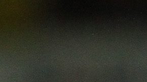 Vuoso marcó 12 goles con el Atlas.