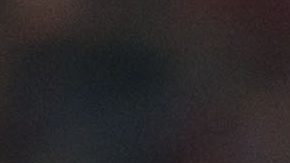 Gandolfi fue campeón con los Xolos.